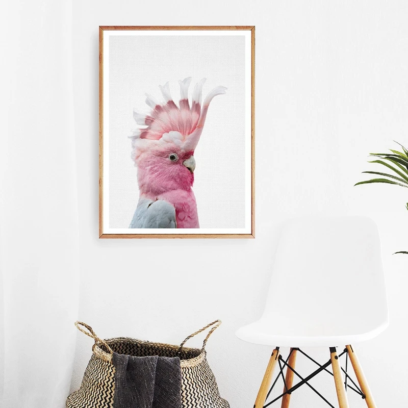 Galah Print Cockatoo Australian Bird Poster Wall Art Canvas Painting Australian Animal Modern Photography Picture Nursery Decor
Galah Print Cockatoo Australian Bird Poster Wall Art Canvas Painting Australian Animal Modern Photography Picture Nursery Decor