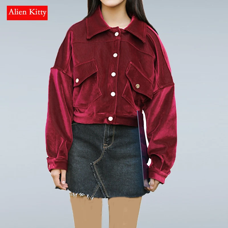 Alien Kitty Women Basic Coats New Spring Autumn Fashion Vintage Long Sleeve Loose Gold Velvet Short Jacket Female Outwear Tops
Alien Kitty Women Basic Coats New Spring Autumn Fashion Vintage Long Sleeve Loose Gold Velvet Short Jacket Female Outwear Tops