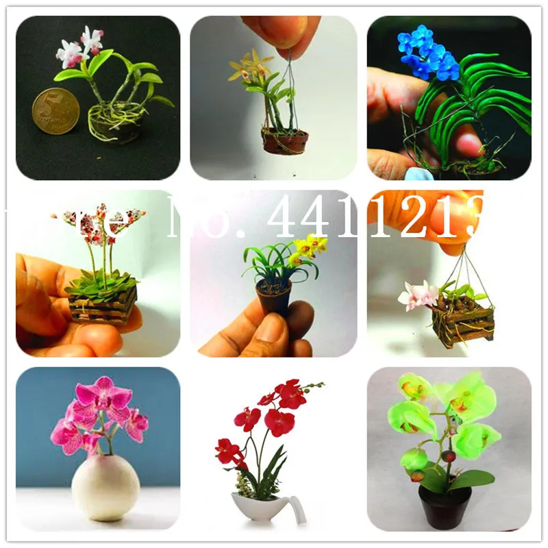 Hot Sale 200 Pcs Mixed colors Orchid Bonsai phalaenopsis orchid Indoor Miniature garden bonsai Pot plant indoor decoration
Hot Sale 200 Pcs Mixed colors Orchid Bonsai phalaenopsis orchid Indoor Miniature garden bonsai Pot plant indoor decoration