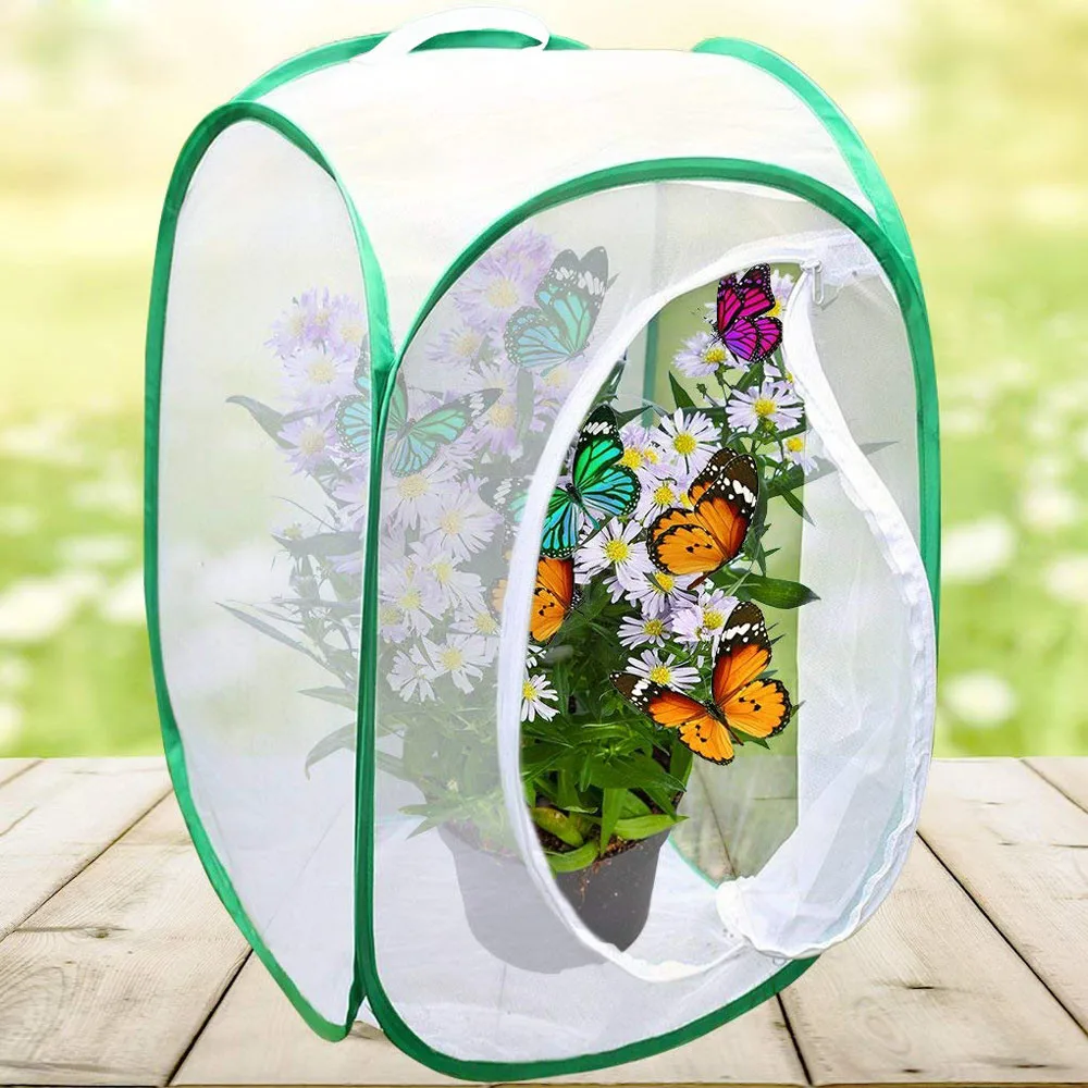 1PC Collapsible Insect and Butterfly Habitat Cage Terrarium Pop up Open Cloth Foldable Housing Enclosure Portable Strip Cage #A
1PC Collapsible Insect and Butterfly Habitat Cage Terrarium Pop up Open Cloth Foldable Housing Enclosure Portable Strip Cage #A