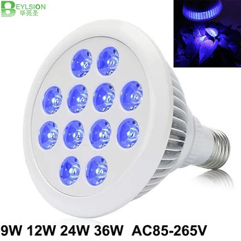 BEYLSION PAR38 Grow Light Bulb 9W 12W 24W 36W Blue 460nmE27 LED Grow Lamps Bulbs PAR38 with 12pc LED for Flowering Indoor Plants
BEYLSION PAR38 Grow Light Bulb 9W 12W 24W 36W Blue 460nmE27 LED Grow Lamps Bulbs PAR38 with 12pc LED for Flowering Indoor Plants
