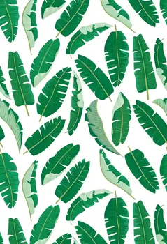Banana leaf Photo Backdrop Background Baby Photography Children Birthday Banner Baby Shower Photo Booth XT-5802
Banana leaf Photo Backdrop Background Baby Photography Children Birthday Banner Baby Shower Photo Booth XT-5802