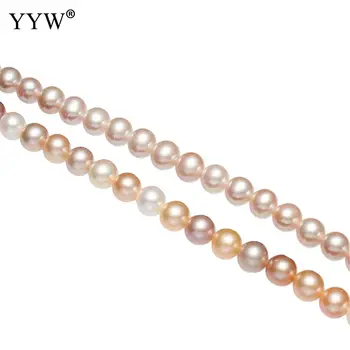 Cultured Potato Freshwater Pearl Beads natural 7-8mm Approx 0.8mm Sold Per Approx
Cultured Potato Freshwater Pearl Beads natural 7-8mm Approx 0.8mm Sold Per Approx