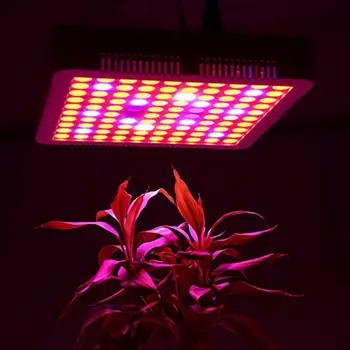 300W LED Plant Grow Light Full Spectrum IR UV Indoor Hydroponic Lamp Greenhouse Illumination Kit
300W LED Plant Grow Light Full Spectrum IR UV Indoor Hydroponic Lamp Greenhouse Illumination Kit