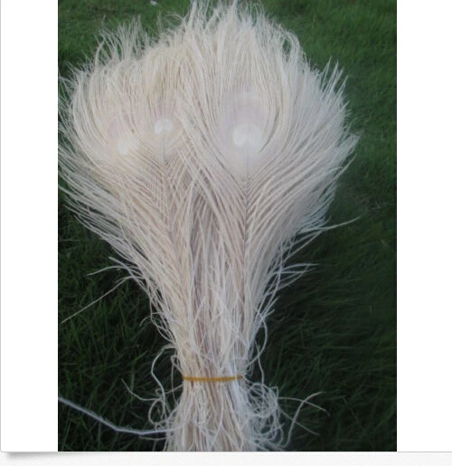 Free shipping wholesale high quality 10pcs Rare beige natural peacock feather 25-30cm / 10-12inch decorative diy
Free shipping wholesale high quality 10pcs Rare beige natural peacock feather 25-30cm / 10-12inch decorative diy