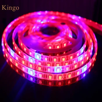 LED Grow Light DC 12V IP65 Waterproof High Brightness SMD 5050 LED Strip Tape Light for Aquarium Greenhouse Plant Growing 
LED Grow Light DC 12V IP65 Waterproof High Brightness SMD 5050 LED Strip Tape Light for Aquarium Greenhouse Plant Growing