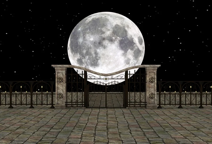 Laeacco Photography Backgrounds Moon Starry Sky Gate Floor Square Scenic Baby Children Photographic Backdrops For Photo Studio 
Laeacco Photography Backgrounds Moon Starry Sky Gate Floor Square Scenic Baby Children Photographic Backdrops For Photo Studio