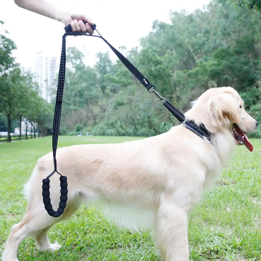 HobbyLane Large Dog Buffer Retractable Leash With Spring Explosion-proof 120cm Dogs Chain Traction Rope Foam Handle Dog Leashes
HobbyLane Large Dog Buffer Retractable Leash With Spring Explosion-proof 120cm Dogs Chain Traction Rope Foam Handle Dog Leashes