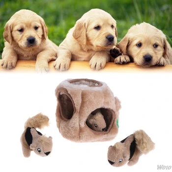 Pet Toys Squeaky Three Squirrel Hide Plush Puzzle Dogs Outward Hound Interactive
Pet Toys Squeaky Three Squirrel Hide Plush Puzzle Dogs Outward Hound Interactive