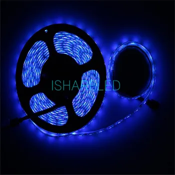5M DC24V Waterproof Strip Led 5050 5M/roll 60led/M Flexible Led Ribbon Outdoor Decoartion blue
5M DC24V Waterproof Strip Led 5050 5M/roll 60led/M Flexible Led Ribbon Outdoor Decoartion blue