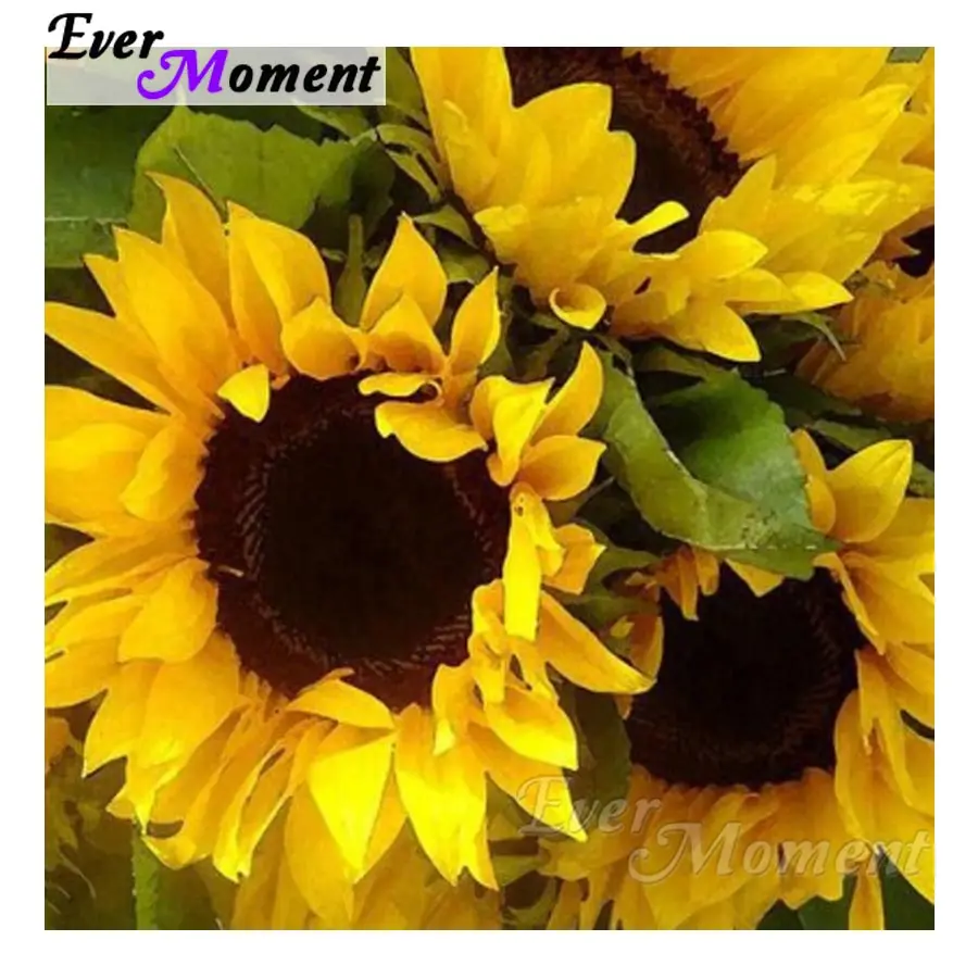 Ever Moment 5D Diamond Embroidery Sunflower Diamond Mosaic Full Square Drills Artwork Home Decoration Diamond Painting ASF1133
Ever Moment 5D Diamond Embroidery Sunflower Diamond Mosaic Full Square Drills Artwork Home Decoration Diamond Painting ASF1133