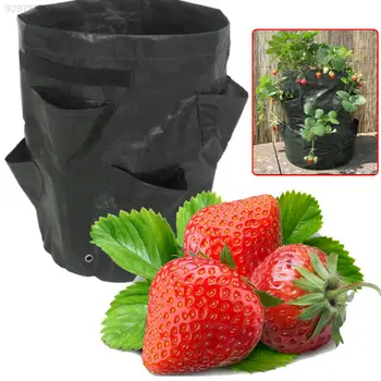 Potato Strawberry Planter Bags for Growing Potatoes Outdoor Garden Hanging Open Style Vegetable Planting Grow Bag Garden Supplie
Potato Strawberry Planter Bags for Growing Potatoes Outdoor Garden Hanging Open Style Vegetable Planting Grow Bag Garden Supplie