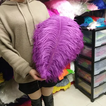 Gorgeous wholesale 100 PCS Purple red 55-60 cm/22-24 inches ostrich feathers plume artware performing decorations
Gorgeous wholesale 100 PCS Purple red 55-60 cm/22-24 inches ostrich feathers plume artware performing decorations