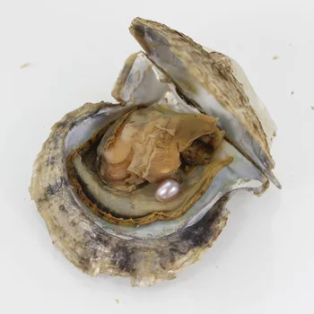 Single Rice Pearls AAA Grade Pearls in the Akoya Oysters Natural White Dyed Pearl Oysters Vacuum-packed Gift Love Pearls AO014
Single Rice Pearls AAA Grade Pearls in the Akoya Oysters Natural White Dyed Pearl Oysters Vacuum-packed Gift Love Pearls AO014