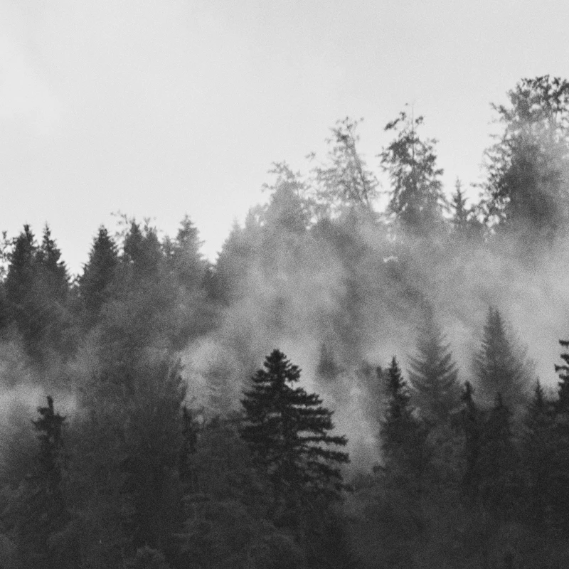 pexels-photo-167699