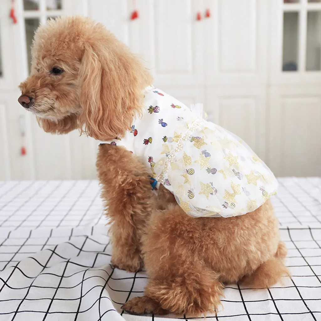 Dog Dress Pet Summer Lady Lace Pineapple Fairy Temperament Dog Skirt Princess Costume Puppy Skirt Pet Supplies Vestido Perro
Dog Dress Pet Summer Lady Lace Pineapple Fairy Temperament Dog Skirt Princess Costume Puppy Skirt Pet Supplies Vestido Perro