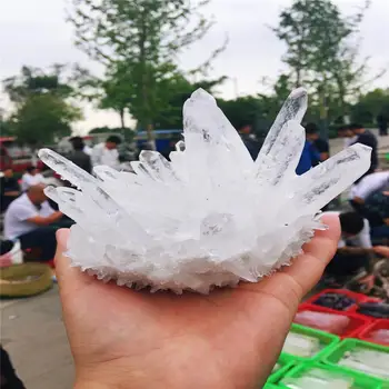 1pcs Natural white crystal irregular cluster quartz crystal cluster natak decorated chakra healing reiki pillar points
1pcs Natural white crystal irregular cluster quartz crystal cluster natak decorated chakra healing reiki pillar points