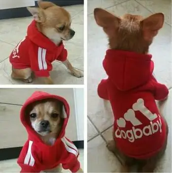 New Sport Cotton Dog Clothes Puppy Hoodies Small Pet jacket Yorkshire Chihuahua coat good quality
New Sport Cotton Dog Clothes Puppy Hoodies Small Pet jacket Yorkshire Chihuahua coat good quality