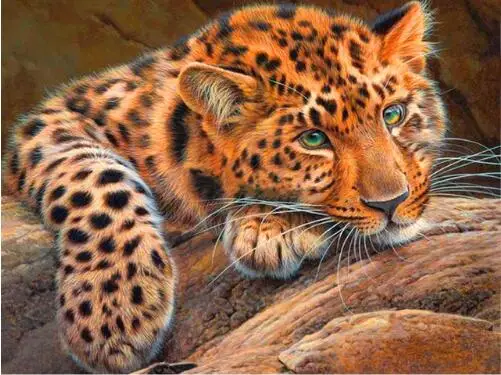 DIY 5D full drill diamond embroidery "leopard" Diamond Painting Cross Stitch Needlework Rhinestone mosaic decoration painting
DIY 5D full drill diamond embroidery "leopard" Diamond Painting Cross Stitch Needlework Rhinestone mosaic decoration painting