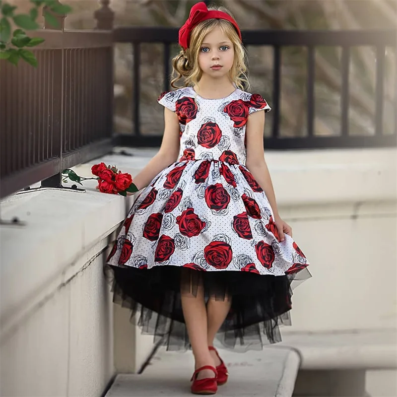 Fancy Kids Dresses for Girls Flower Children Wedding Gown Elegant Dress for Girl Baby Girls Party Clothes Princess Formal Wear
Fancy Kids Dresses for Girls Flower Children Wedding Gown Elegant Dress for Girl Baby Girls Party Clothes Princess Formal Wear