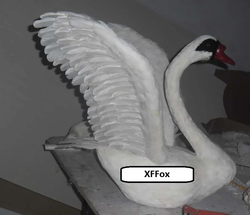HTB1_oO_MpXXXXcAXpXXq6xXFXXXk