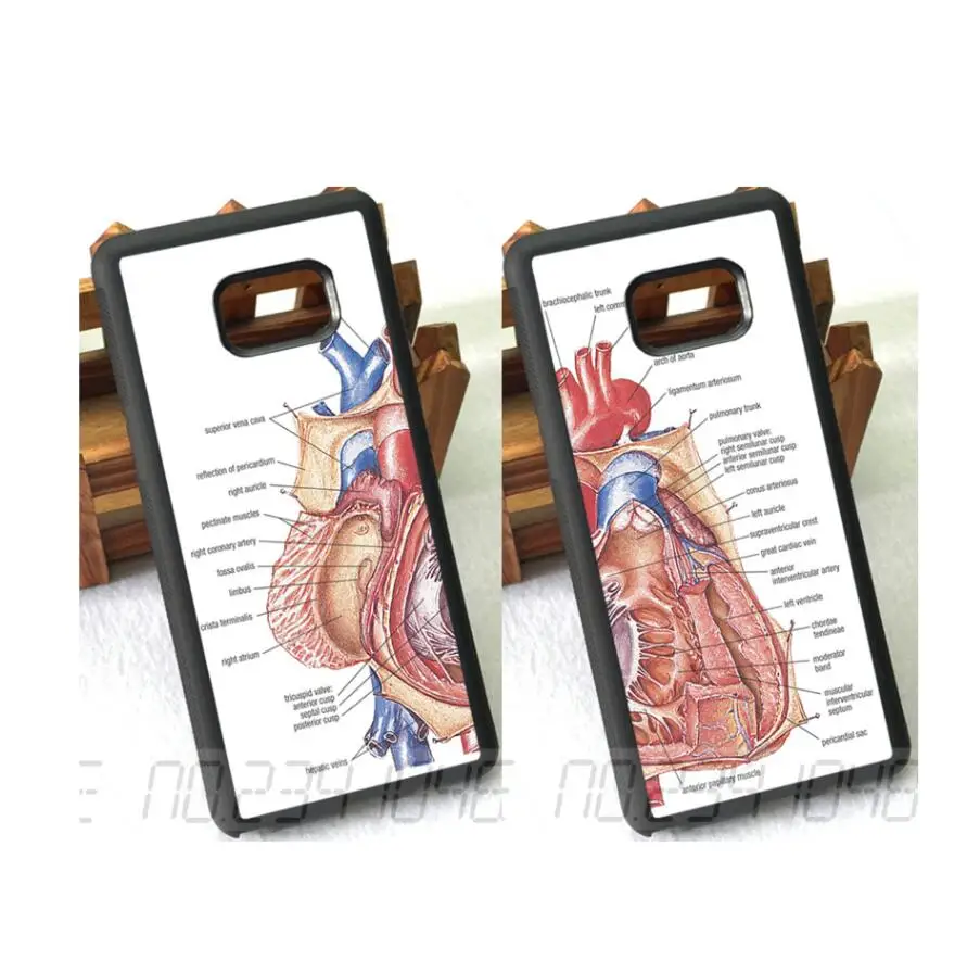 Heart anatomy BFF best friends love pair TPU cases for samsung s6edge plus s7 edge s8 s9 s10 plus lite e note8 note9 cover case
Heart anatomy BFF best friends love pair TPU cases for samsung s6edge plus s7 edge s8 s9 s10 plus lite e note8 note9 cover case