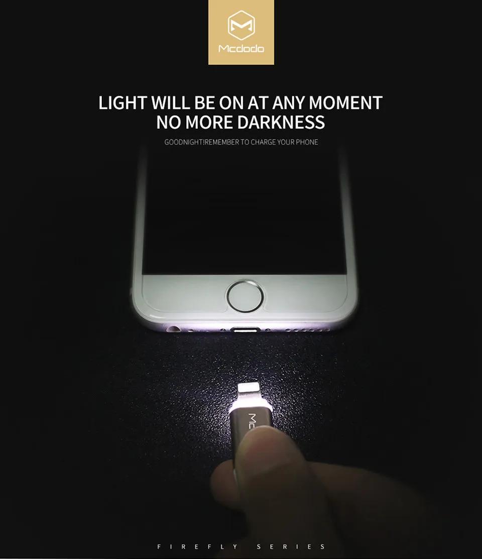 Firefly_01