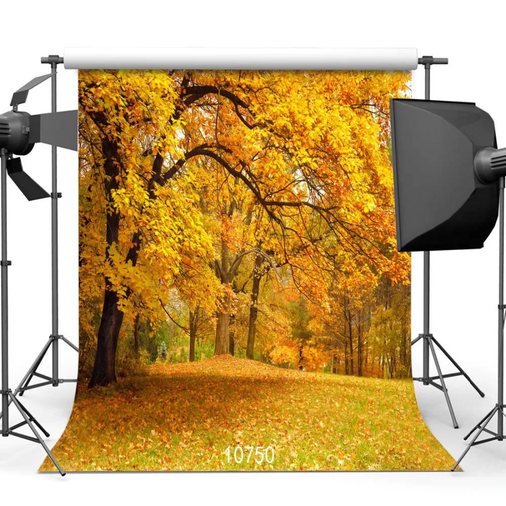 Yellow Leaves Autumn Park Photography Backdrops Photo Background 3D Vinyl Cloth Backdrop for Photo Studio Shooting Photophone
Yellow Leaves Autumn Park Photography Backdrops Photo Background 3D Vinyl Cloth Backdrop for Photo Studio Shooting Photophone