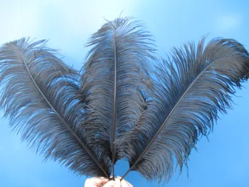 wholesale hard rods natural 100 pcs/lot 22-24 inch 55-60 cm black fluffy Ostrich Feather Plume wedding decoration
wholesale hard rods natural 100 pcs/lot 22-24 inch 55-60 cm black fluffy Ostrich Feather Plume wedding decoration