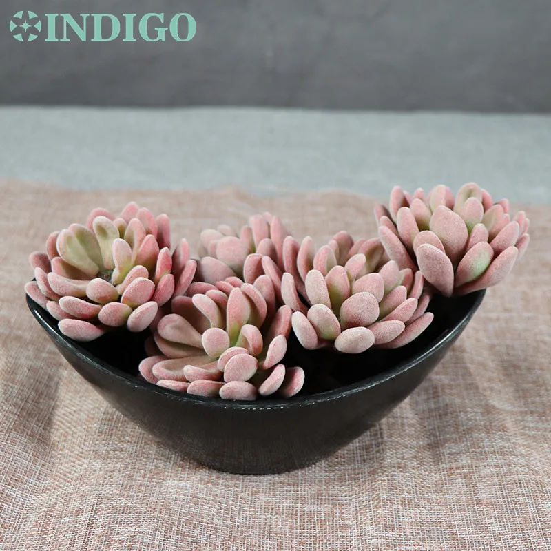 5 pcs Plush Lotus Echeveria Elegance Artificial Succulent Plant Plastic Flower Decoration Green Plant Background Free Shipping
5 pcs Plush Lotus Echeveria Elegance Artificial Succulent Plant Plastic Flower Decoration Green Plant Background Free Shipping