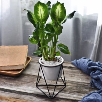 New Geometric Decor Vase Planter Modern Simple Iron Art Stand with Ceramic Pots Succulent Flower Container for Indoor decorate
New Geometric Decor Vase Planter Modern Simple Iron Art Stand with Ceramic Pots Succulent Flower Container for Indoor decorate
