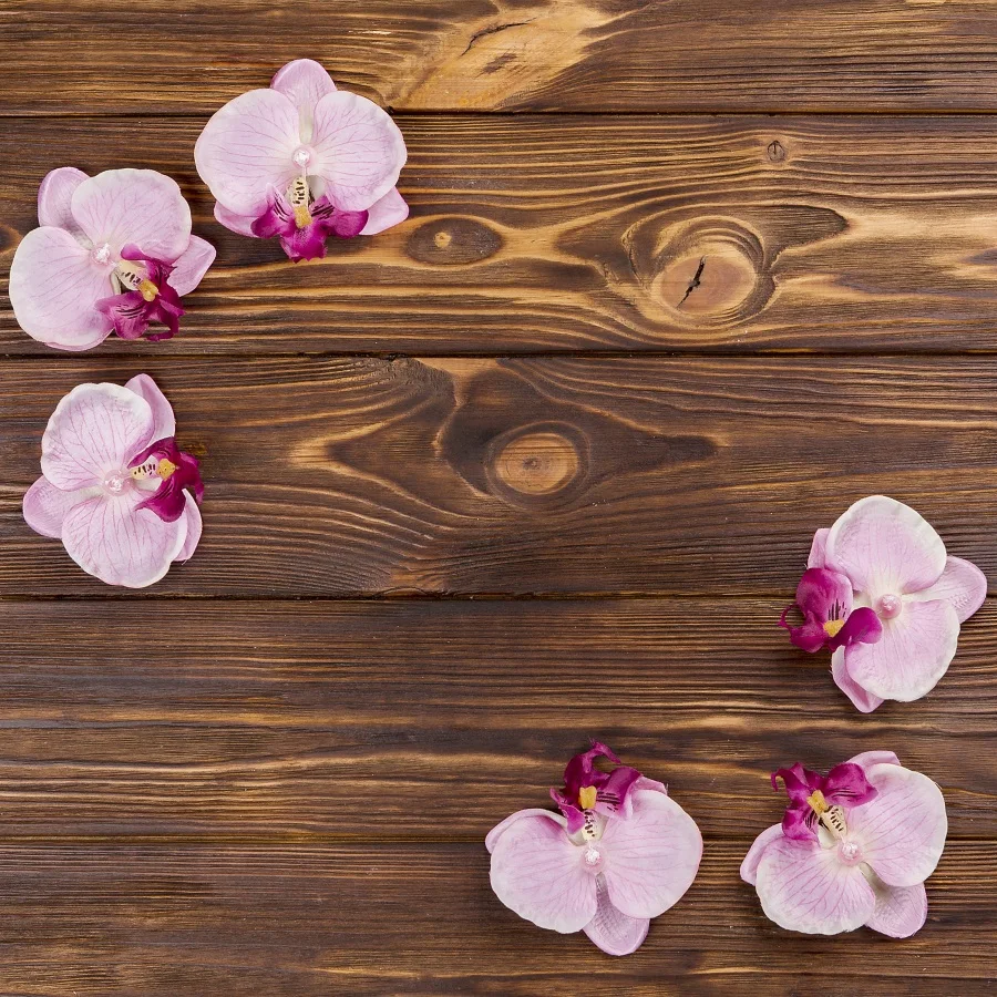Laeacco Flowers Petal Wooden Board Planks Green Scene Photography Backgrounds Customized Photographic Backdrops For Photo Studio
Laeacco Flowers Petal Wooden Board Planks Green Scene Photography Backgrounds Customized Photographic Backdrops For Photo Studio