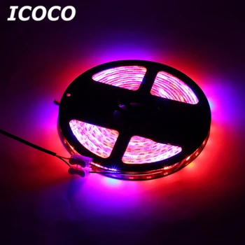 ICOCO 5M Waterproof LED Strip Grow Lights 5050 SMD Red Blue Growing Lamp for Aquarium Greenhouse Hydroponic Plant Garden Flowers
ICOCO 5M Waterproof LED Strip Grow Lights 5050 SMD Red Blue Growing Lamp for Aquarium Greenhouse Hydroponic Plant Garden Flowers