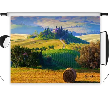 LB Polyester & Vinyl Autumn Harvest Wheat Field Yellow Leaves Studio Backdrop Photography Photo Props Photographic Background
LB Polyester & Vinyl Autumn Harvest Wheat Field Yellow Leaves Studio Backdrop Photography Photo Props Photographic Background