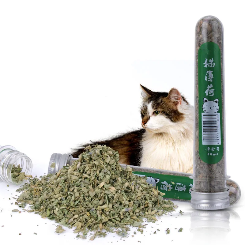 1 bottle 45ml Natural Pet Kitten Cat Mint make your cat to have a good mood pet cat supplies
1 bottle 45ml Natural Pet Kitten Cat Mint make your cat to have a good mood pet cat supplies