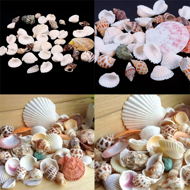 2018 New 100g Beach Seashells Fish Tank Aquarium Craft Decor Fashion Jewelry DIY Pendent Making Party Holiday Ornaments Hot
2018 New 100g Beach Seashells Fish Tank Aquarium Craft Decor Fashion Jewelry DIY Pendent Making Party Holiday Ornaments Hot