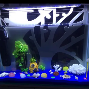 SpongeBob Simulation Resin Crafts Cartoon Anime for Aquarium Fish tank Decoration
SpongeBob Simulation Resin Crafts Cartoon Anime for Aquarium Fish tank Decoration