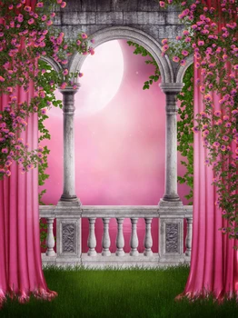 Vintage arch printed newborn birthday pink fairy tale photo backdrops Art fabric backdrop for studio backgrounds D-9776
Vintage arch printed newborn birthday pink fairy tale photo backdrops Art fabric backdrop for studio backgrounds D-9776