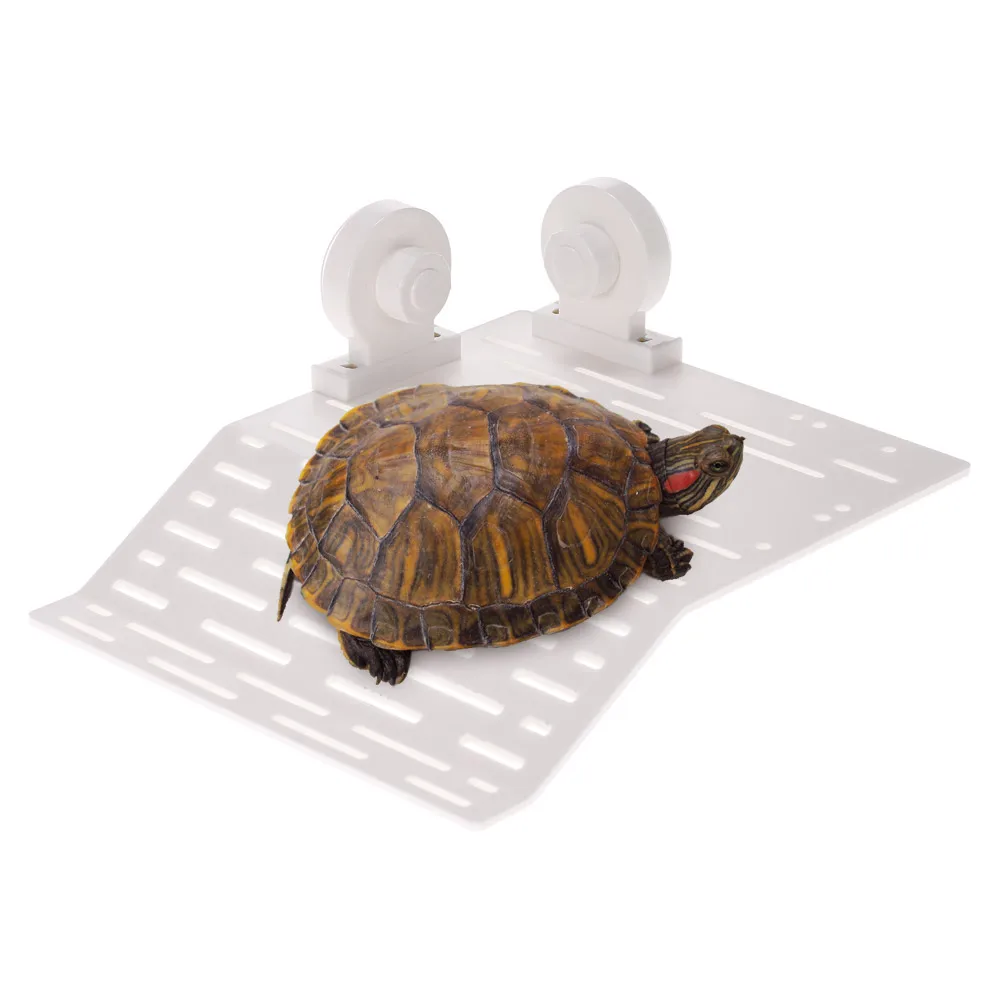 Powerful Suction Cup Type Turtle Basking Platform Aquarium Tank Floating Amphibian Turtle Pier Topper Basking Island Terrace
Powerful Suction Cup Type Turtle Basking Platform Aquarium Tank Floating Amphibian Turtle Pier Topper Basking Island Terrace