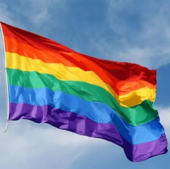 Large Rainbow Flag Gay Pride Banner Striped Pennant Large Event Sign 4x6 Foot Polyester
Large Rainbow Flag Gay Pride Banner Striped Pennant Large Event Sign 4x6 Foot Polyester