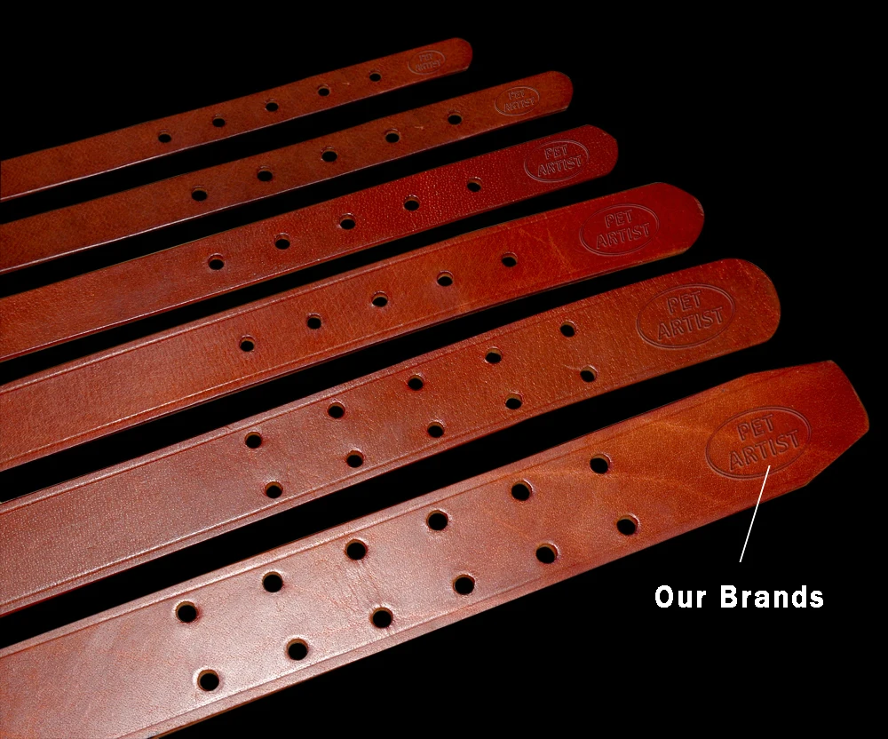 DogsMall-International | Boerboel Genuine Leather Collars Suitable For Big Dog Breeds