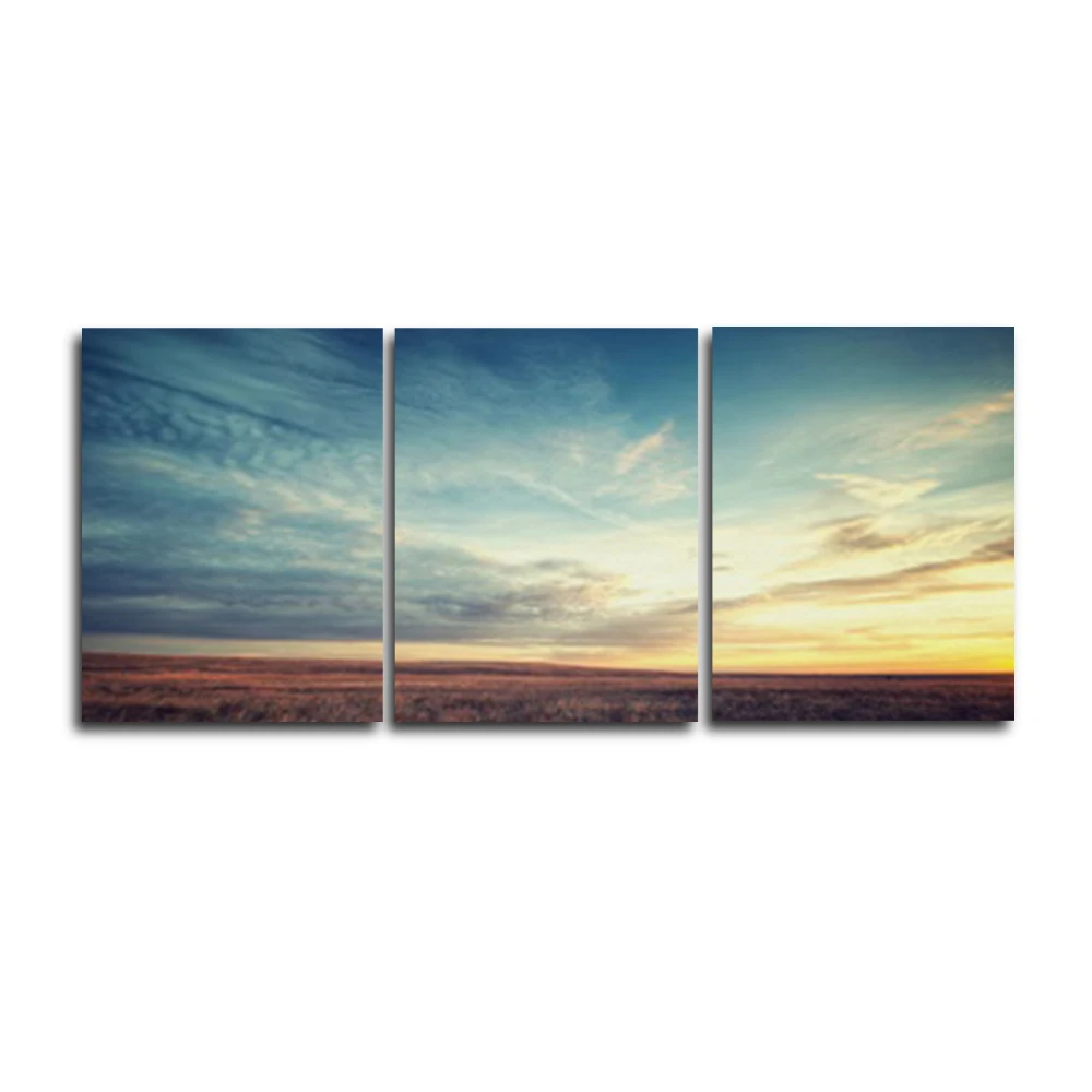 3 Panel Modern Canvas Oil Painting Wall Artwork Picture Poster For Home Living Room Bathroom Wedding Decoration No Frame | Дом и сад
