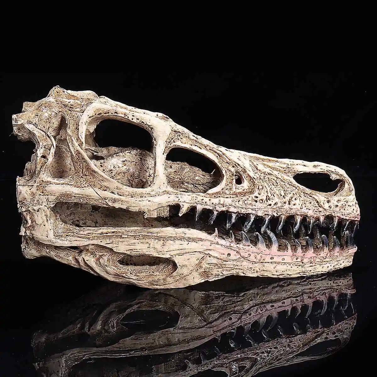 1:10 Retro Velociraptor Dinosaur Resin Skull Head Model Statue Craft Collection Medical Science School Educational Supply
1:10 Retro Velociraptor Dinosaur Resin Skull Head Model Statue Craft Collection Medical Science School Educational Supply