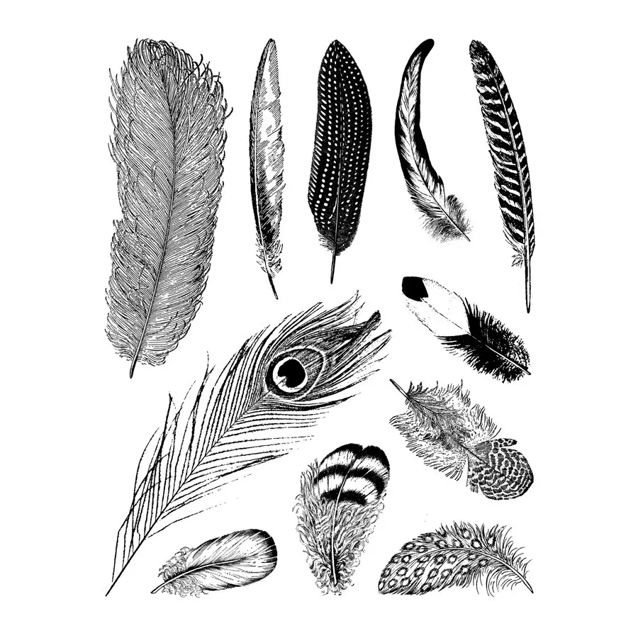 Feathe Transparent Clear Silicone Stamp/Seal for DIY scrapbooking/photo album Decorative clear stamp sheets A462
Feathe Transparent Clear Silicone Stamp/Seal for DIY scrapbooking/photo album Decorative clear stamp sheets A462