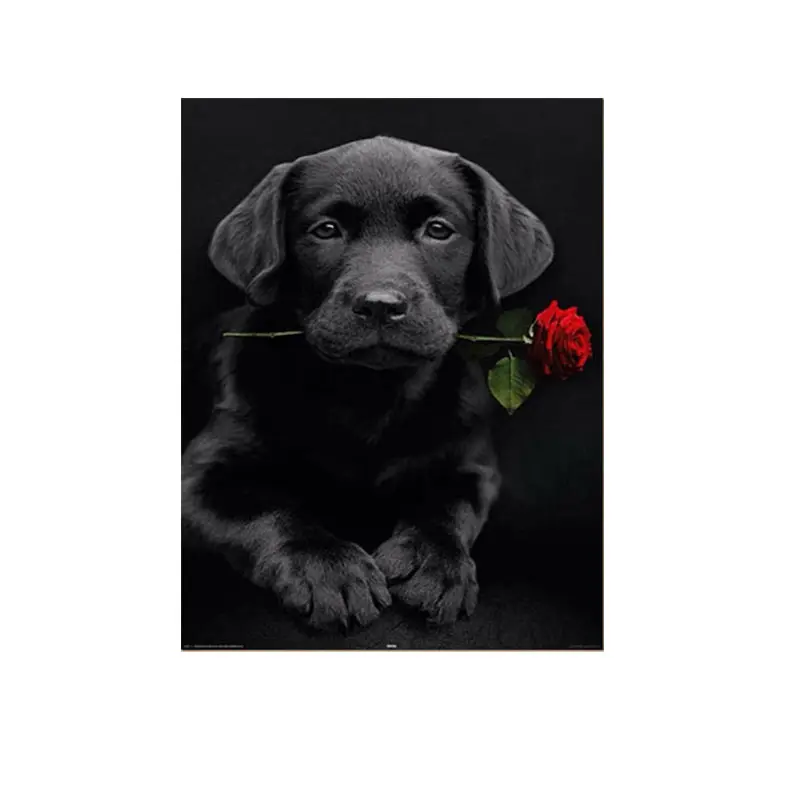 DIY Diamond Embroidery Dog Rose Diamond Painting Cross Stitch Kit Round Drill Needlework Rhinestone Paint Craft 30*40cm Dropship
DIY Diamond Embroidery Dog Rose Diamond Painting Cross Stitch Kit Round Drill Needlework Rhinestone Paint Craft 30*40cm Dropship