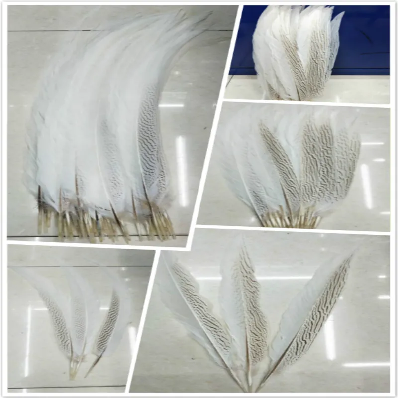 10/50/100pcs Natural 20-80cm/8-32 inch silver chicken feathers white feather stage celebration DIY decoration
10/50/100pcs Natural 20-80cm/8-32 inch silver chicken feathers white feather stage celebration DIY decoration