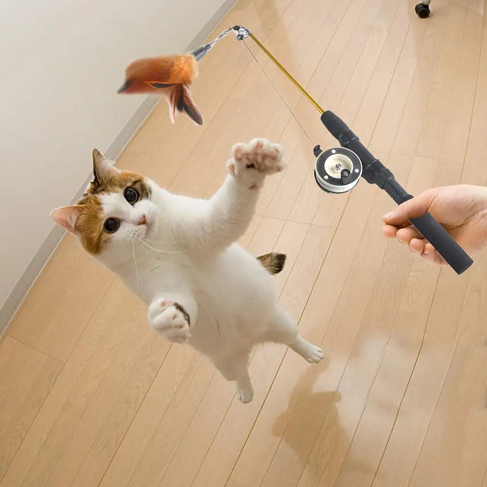 Pet Cat Toy Retractable Wand With Worm Interactive Funny Training Teaser Cat Kitten Stick Toys Pet Supplies Multicolor
Pet Cat Toy Retractable Wand With Worm Interactive Funny Training Teaser Cat Kitten Stick Toys Pet Supplies Multicolor