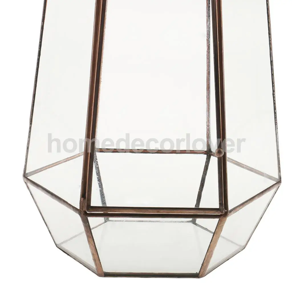 Unregelmäßiges geometrisches Terrarium aus Glas Box Tabletop Sukkulenten 
