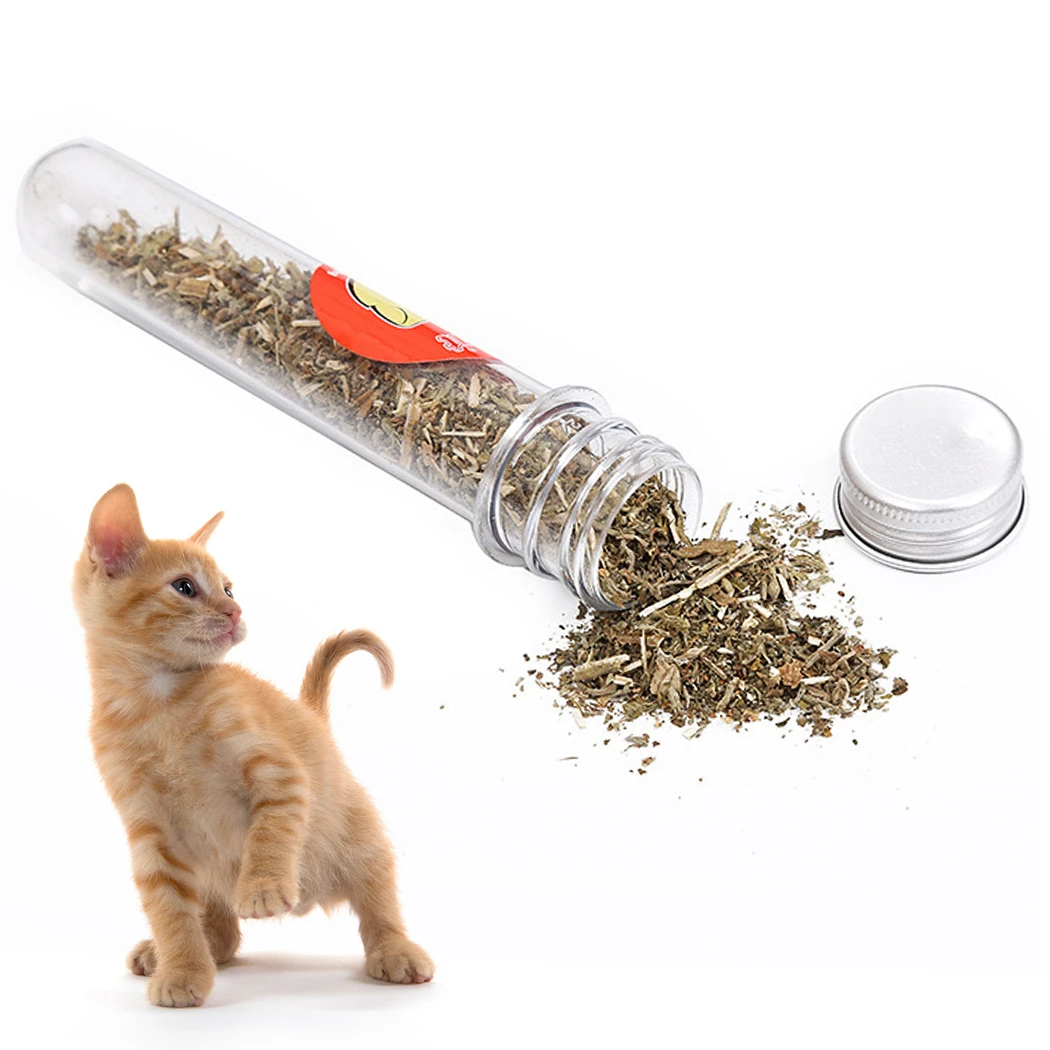 1 Bottle Safety Cat Catnip Teeth Cleaning Natural Cat Treat Kitten Catnip Cat Supply Pet Oral Cleaning Supplies Dropshipping
1 Bottle Safety Cat Catnip Teeth Cleaning Natural Cat Treat Kitten Catnip Cat Supply Pet Oral Cleaning Supplies Dropshipping