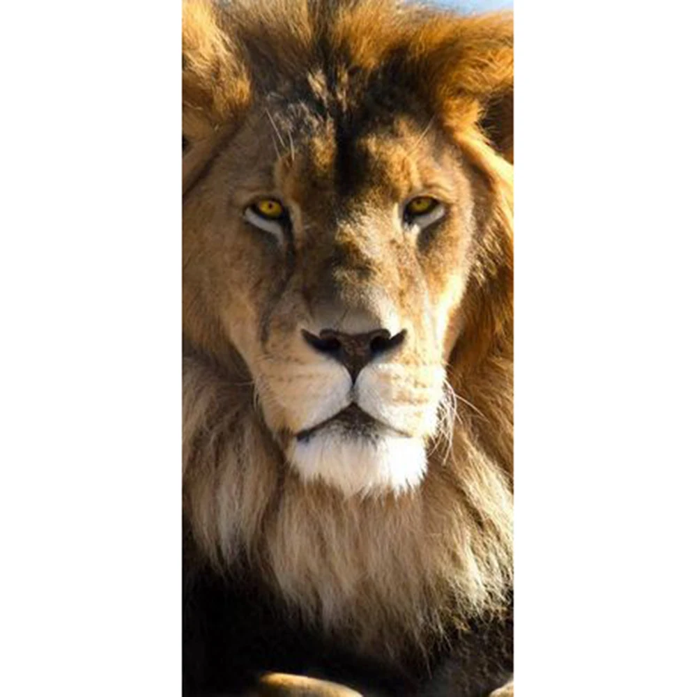 Фото Настенная Наклейка с изображением Льва дверная наклейка обои наклейки украшение